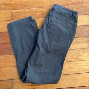 Eddie Bauer Outdoot Hiking pants Slightly Curvy Straight Leg Size 8